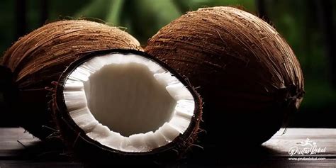 buwa ng niyog benefits|Niyog (Coconut): Mga Nakakamangha na Health Benefits. Alamin!.